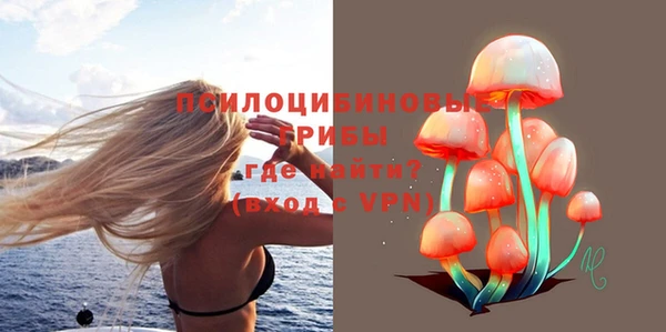бошки Алзамай