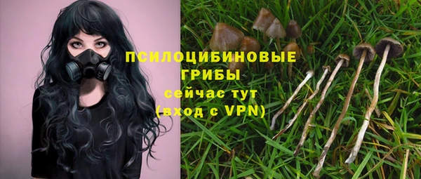 ALPHA-PVP Алексеевка