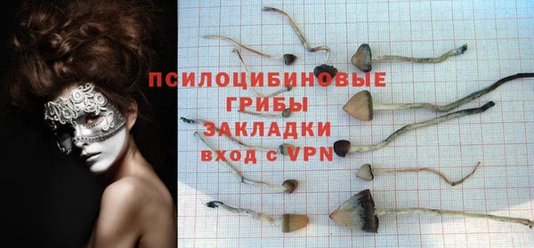 бошки Алзамай