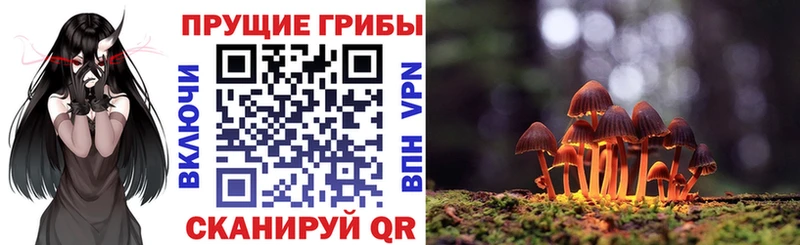 купить  сайты  Кыштым  Псилоцибиновые грибы Cubensis 