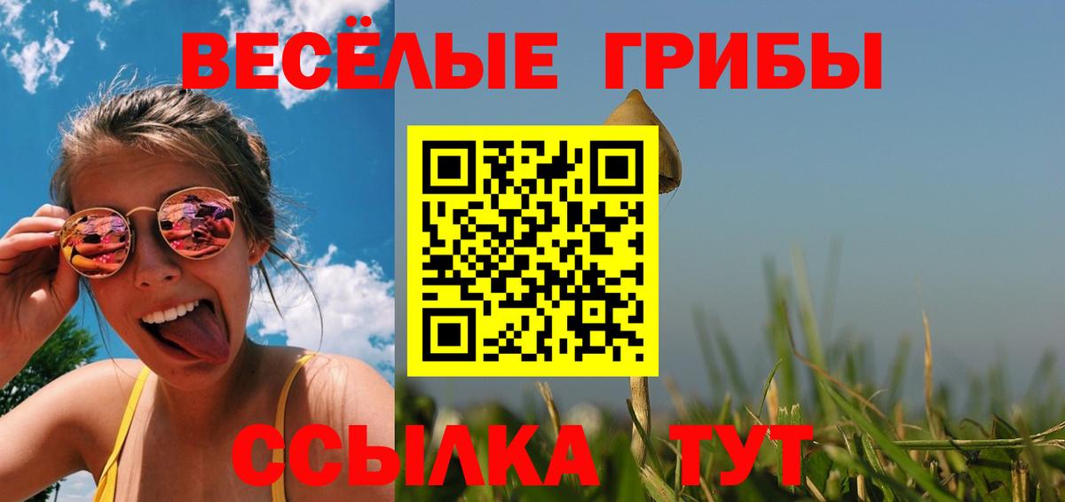Псилоцибиновые грибы Psilocybe  Галлюциногенные грибы прущие грибы  Кыштым  Вход с VPN 