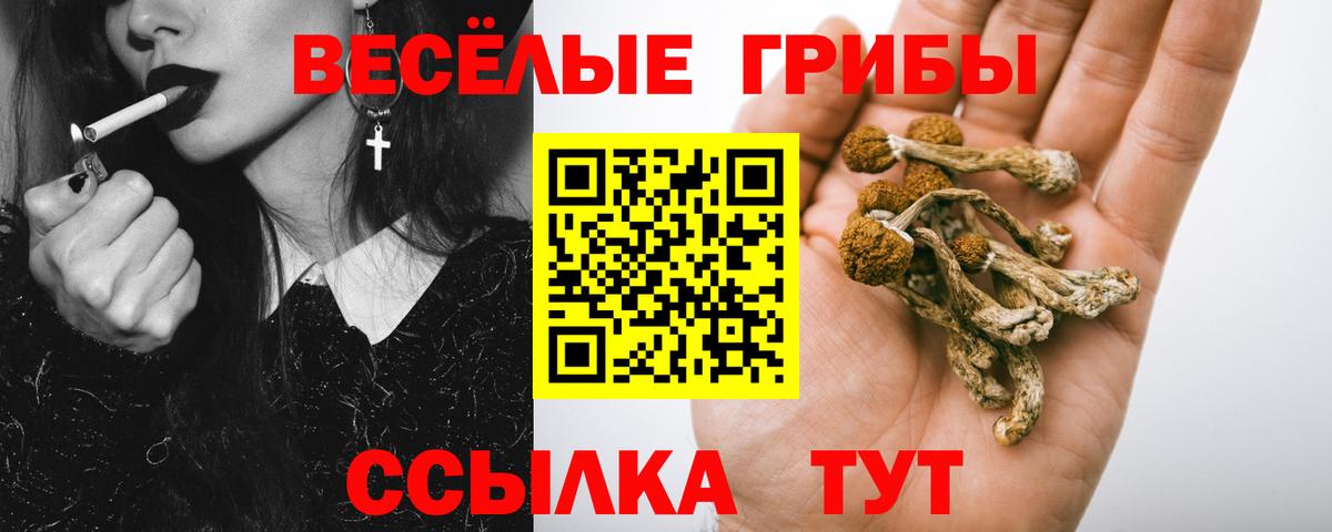 Галлюциногенные грибы Cubensis Кыштым